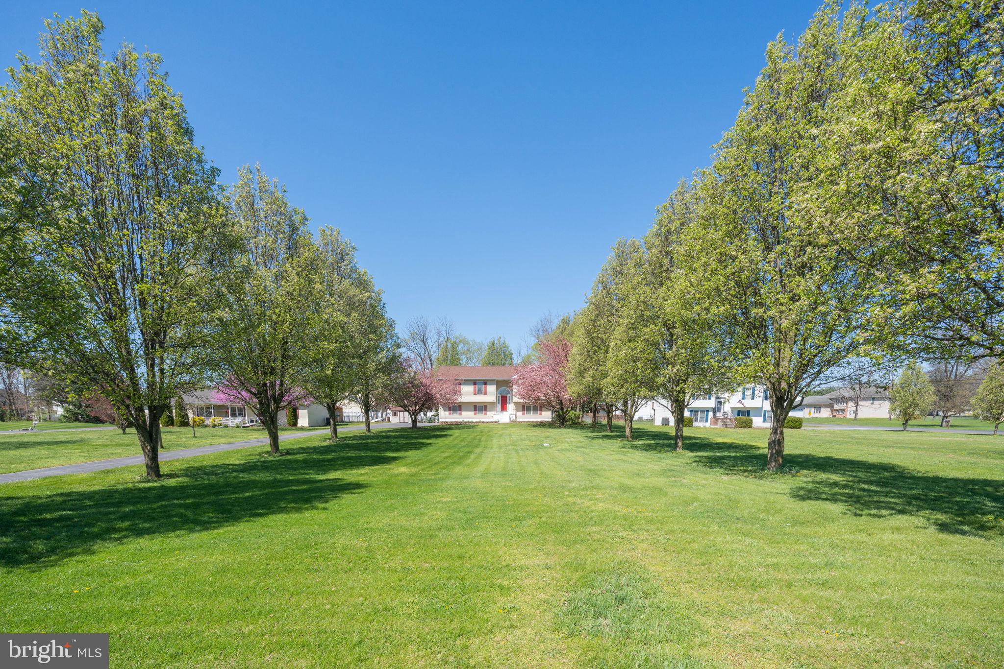 ELIZABETH STATION - Residential