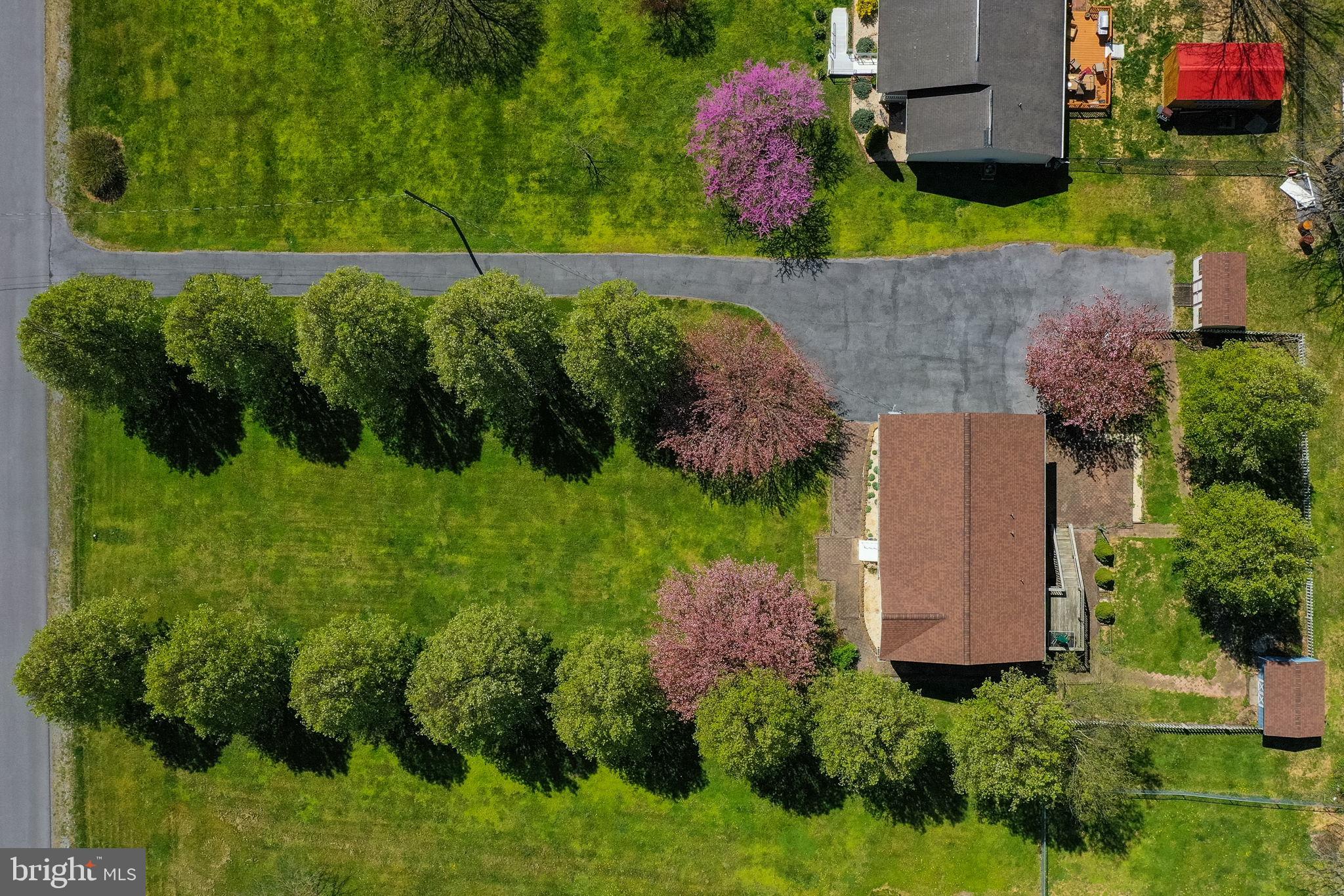 ELIZABETH STATION - Residential