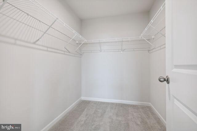 CARDINAL POINTE - Residential