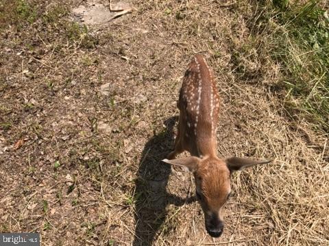 BLUFFS ON THE POTOMAC - Residential