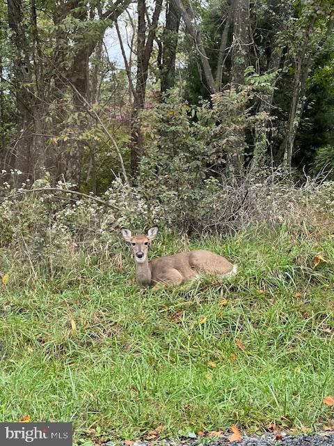 BLUFFS ON THE POTOMAC - Residential