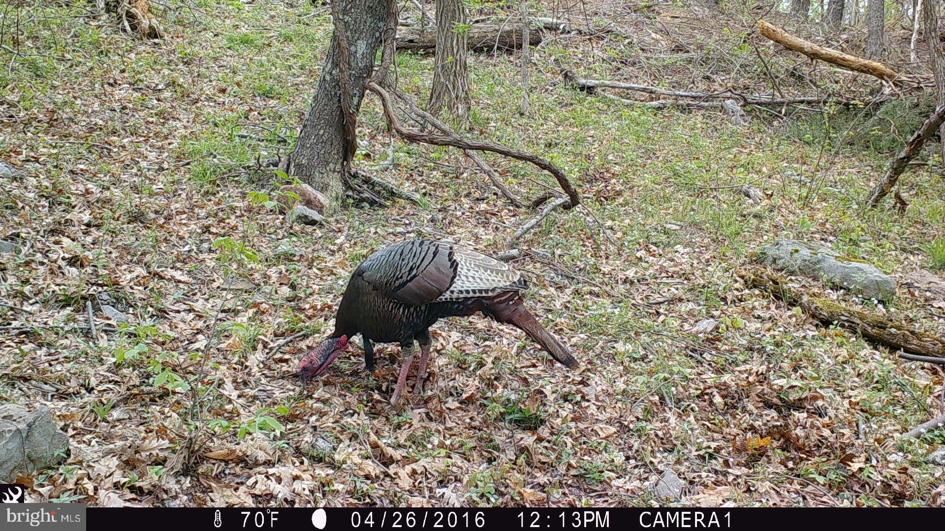 BLUFFS ON THE POTOMAC - Residential