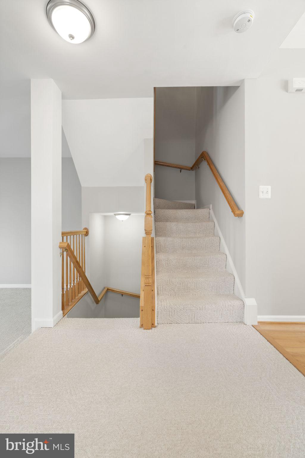 ISLAND CREEK - Residential