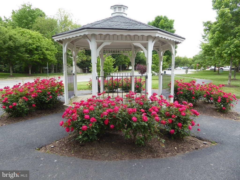 ISLAND CREEK - Residential