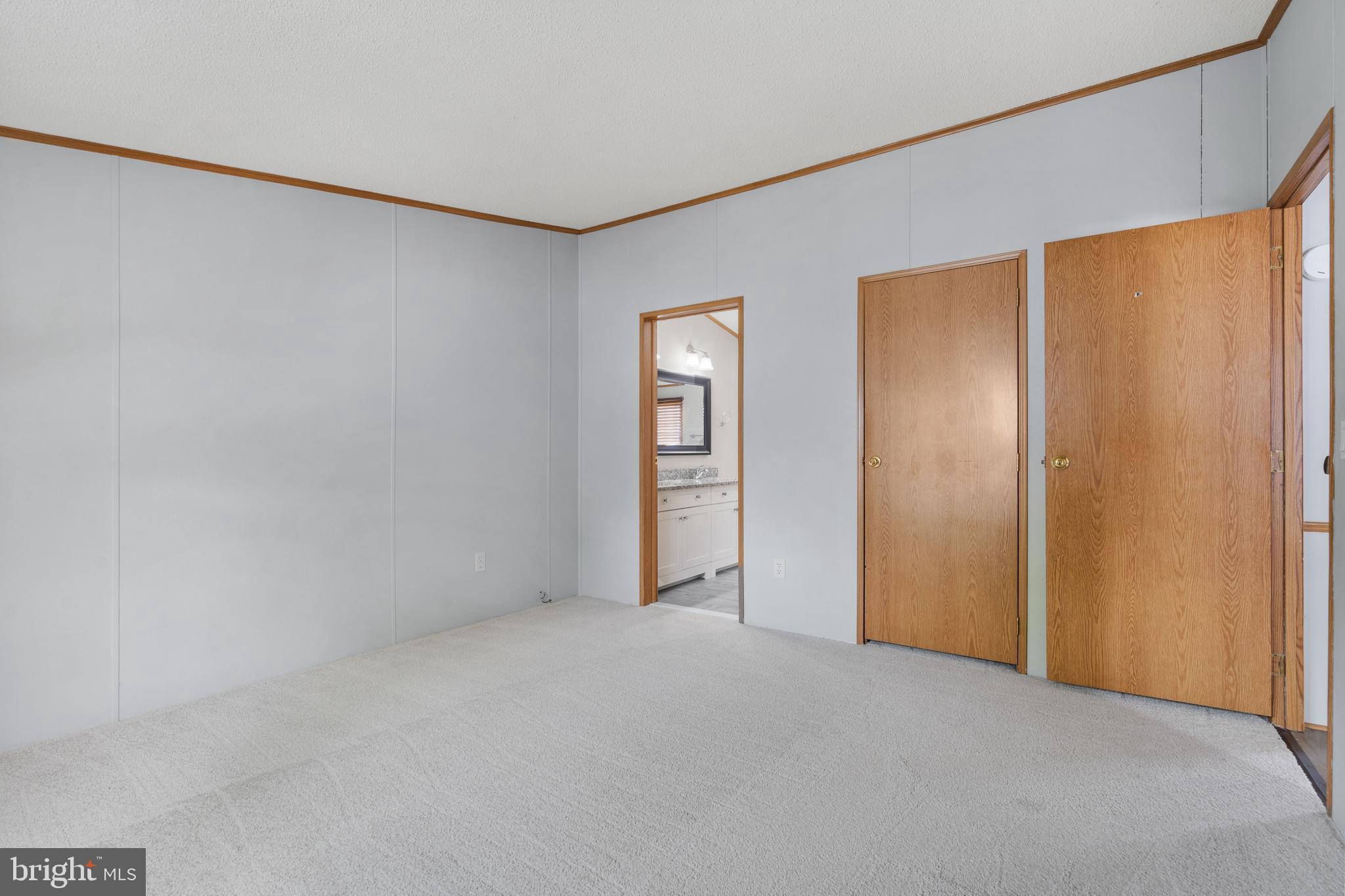 MEADOWS OF CHANTILLY - Residential