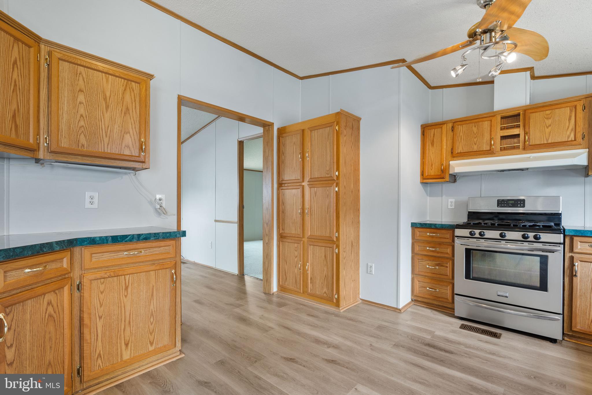 MEADOWS OF CHANTILLY - Residential