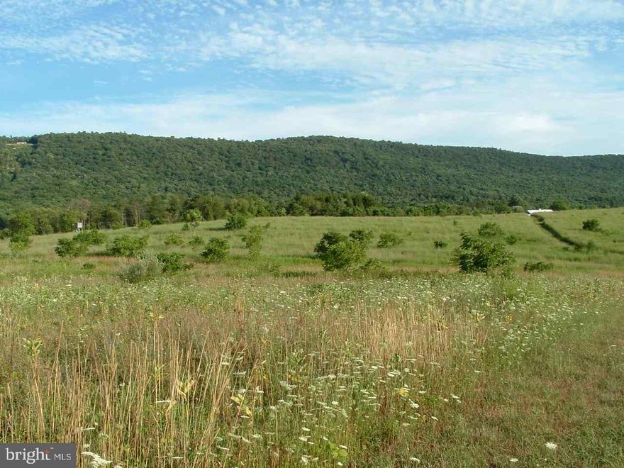 Here is an opportunity to own some nice rolling farm fields and woods to start your own farm or build your private retreat.  Small spring runs through part of the wooded area, beautiful views from the fields.  You choose where to build.  Property access and address will be on Spruce Run Road.