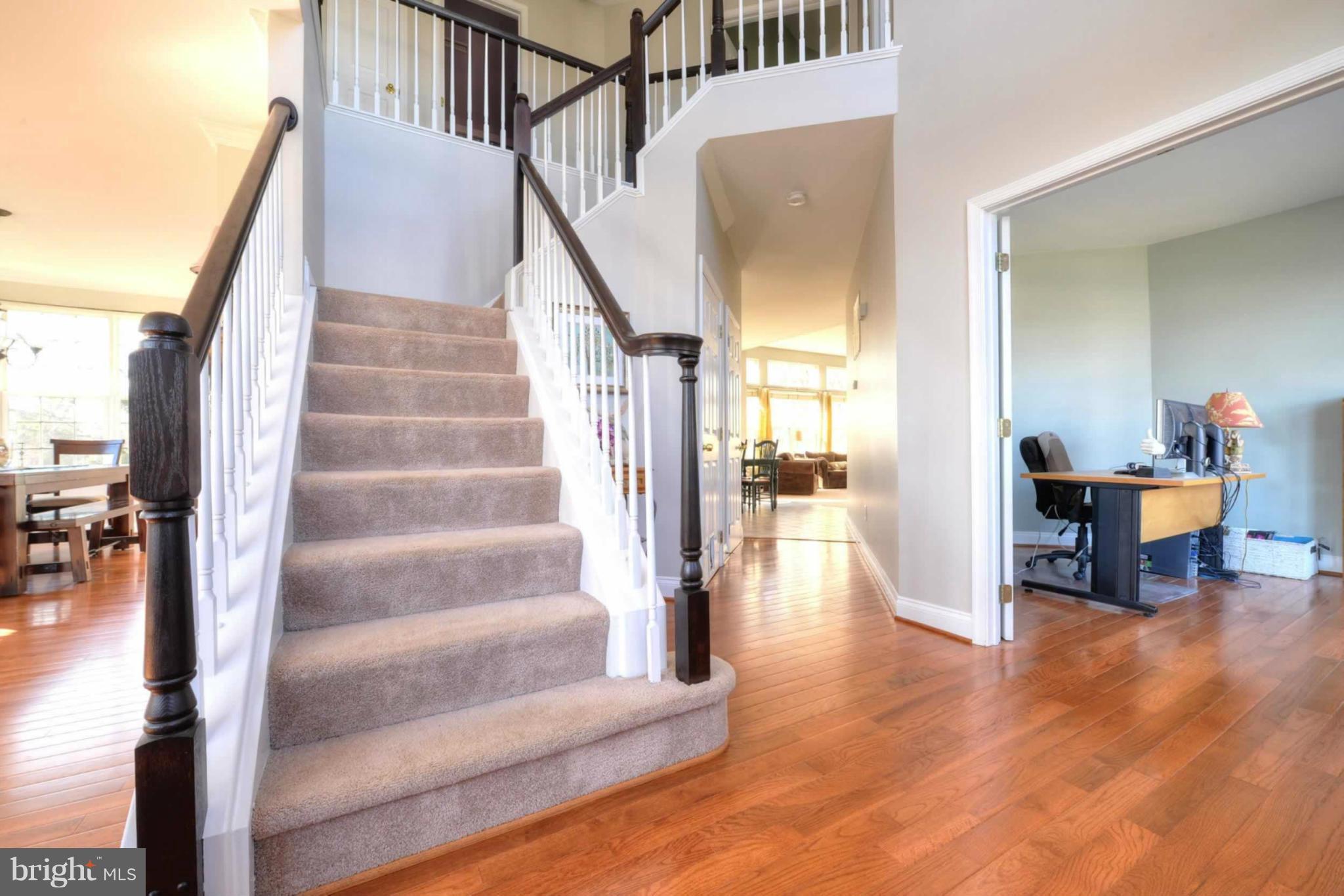 TAVISTOCK FARMS - Residential