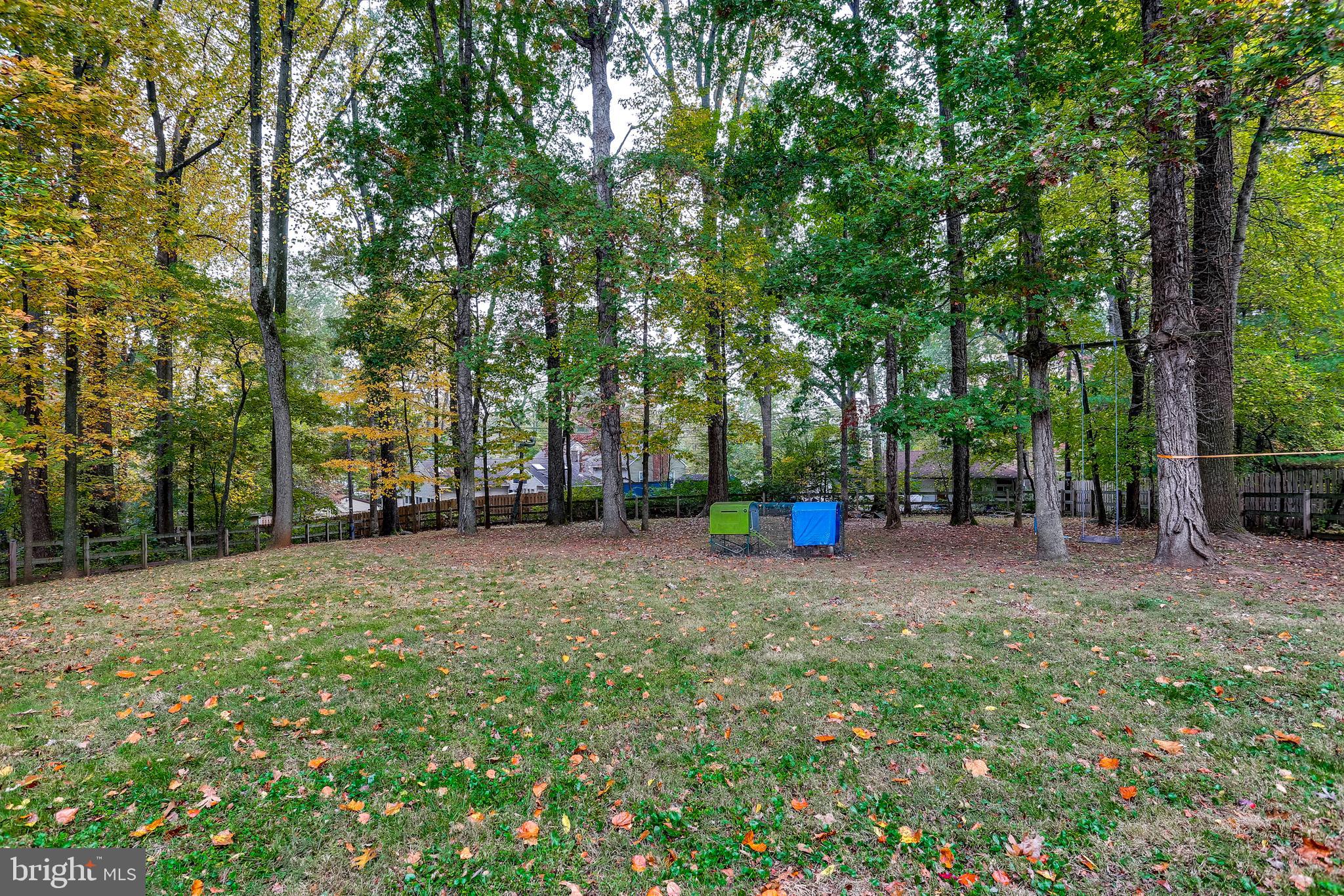 CHESTNUT HILL ESTATES - Residential