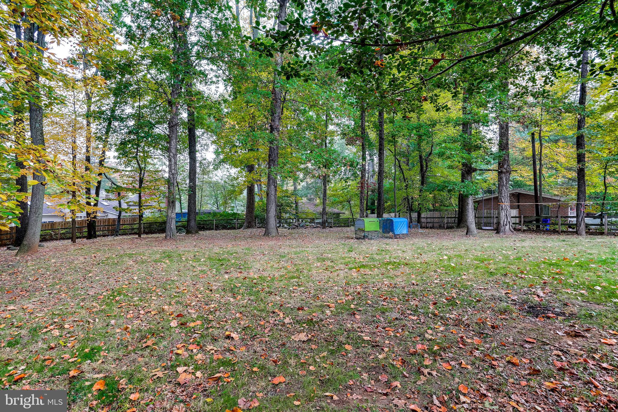 CHESTNUT HILL ESTATES - Residential