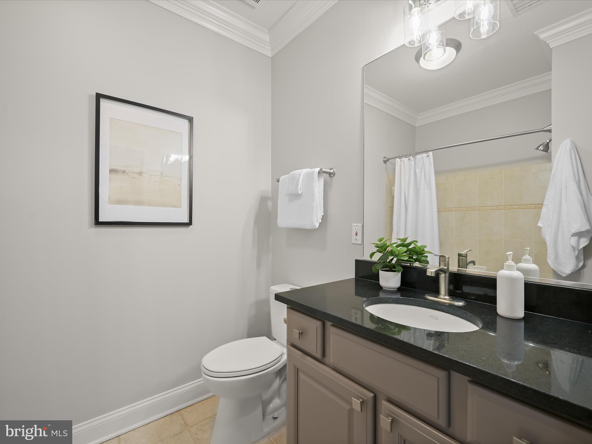 SNOWDEN OVERLOOK - Residential