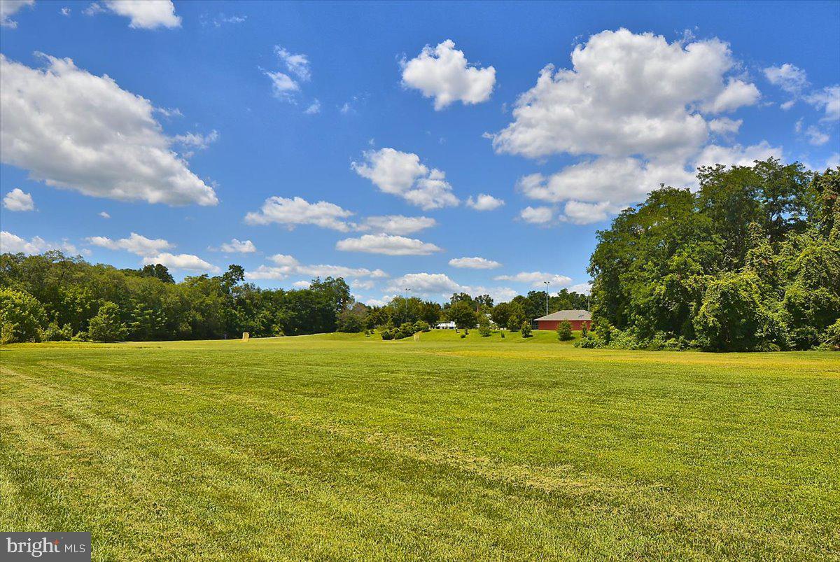 CARRIAGE HILLS - Residential