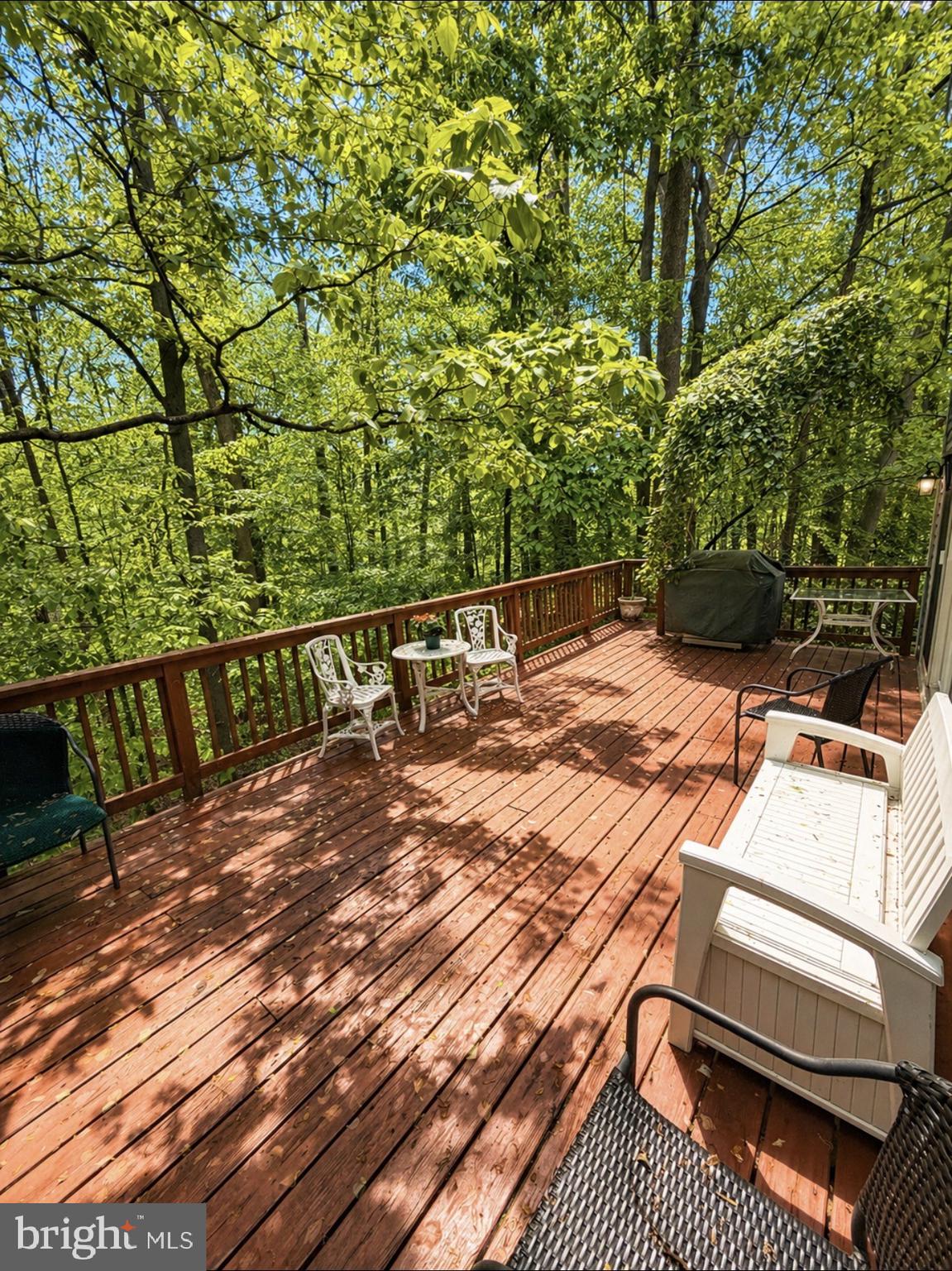CARRIAGE HILLS - Residential