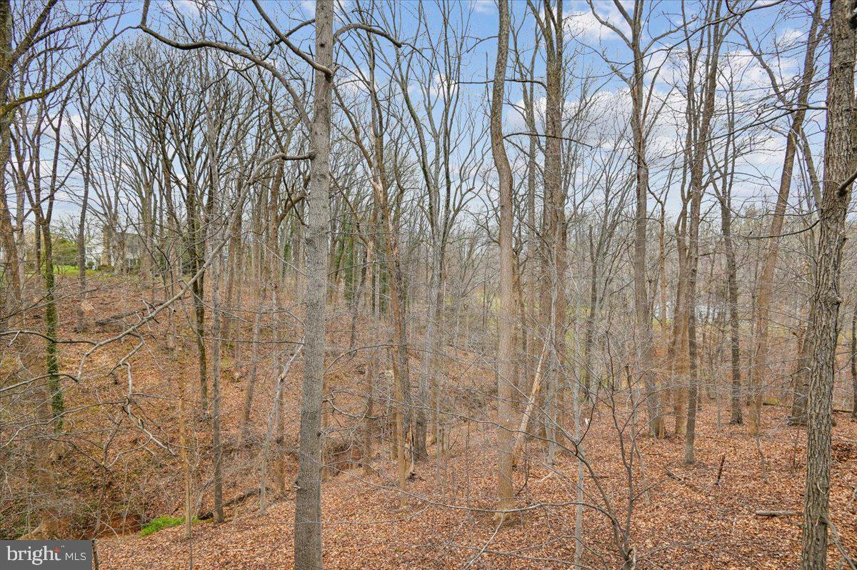 CARRIAGE HILLS - Residential