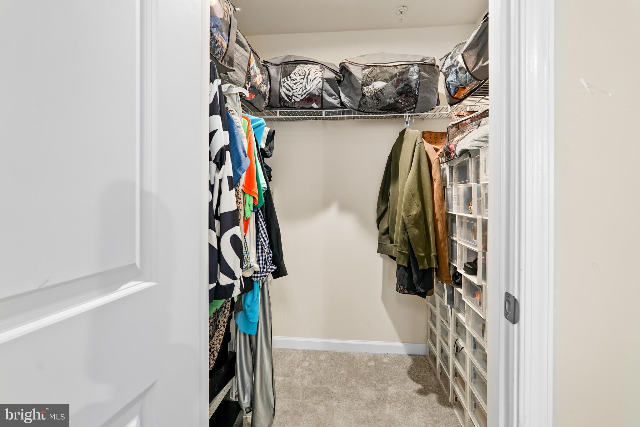 RIDGELY FOREST - Residential