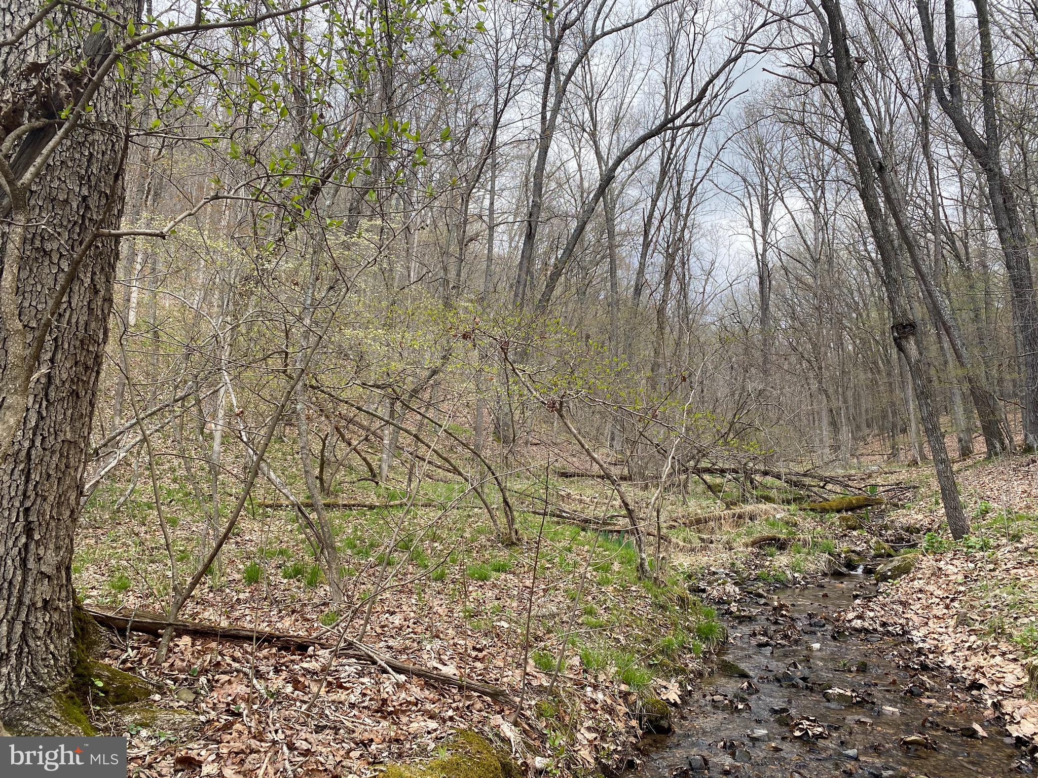 OLD FIELDS OWNER ASSOCIATION - Land