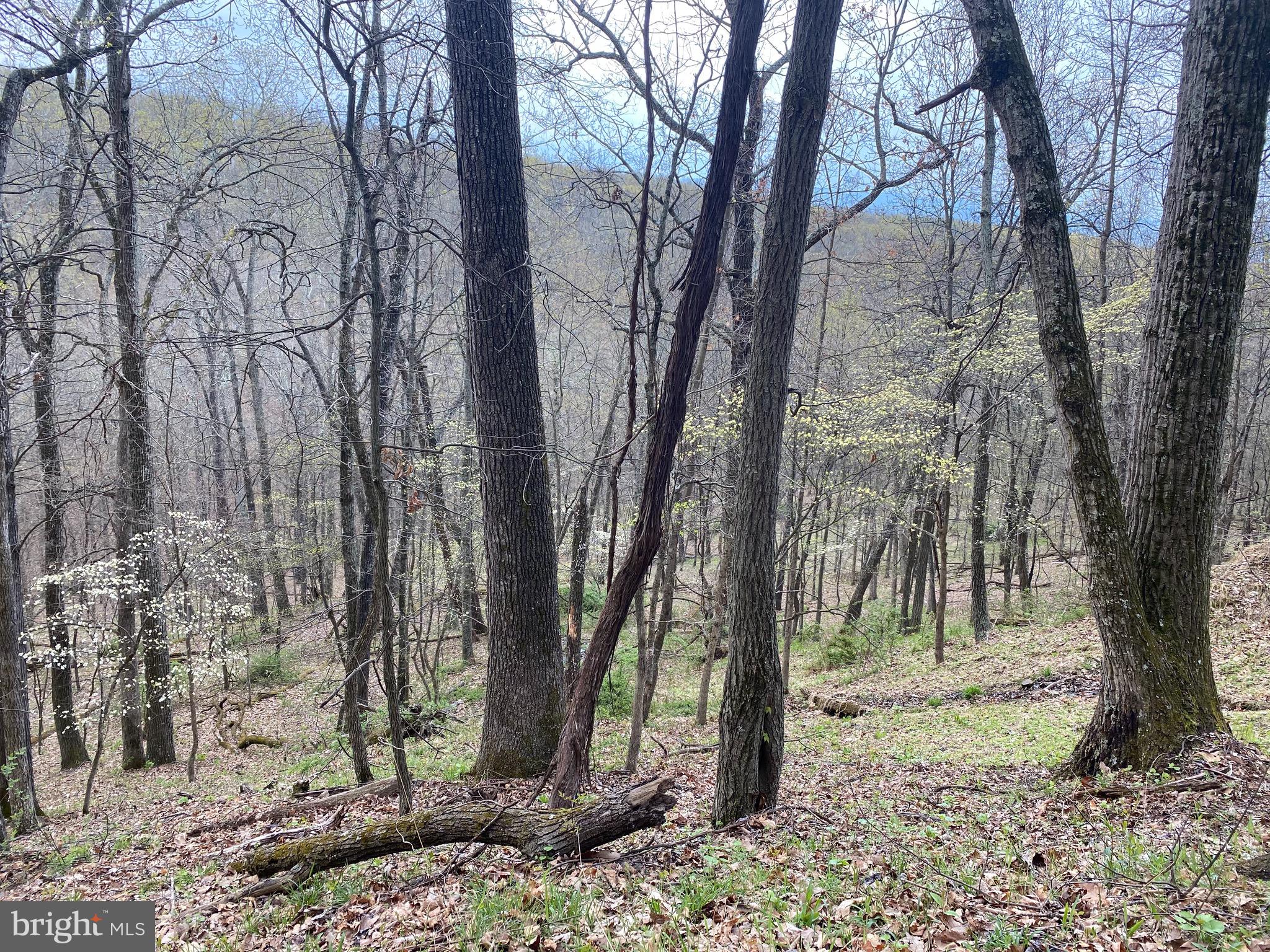 OLD FIELDS OWNER ASSOCIATION - Land