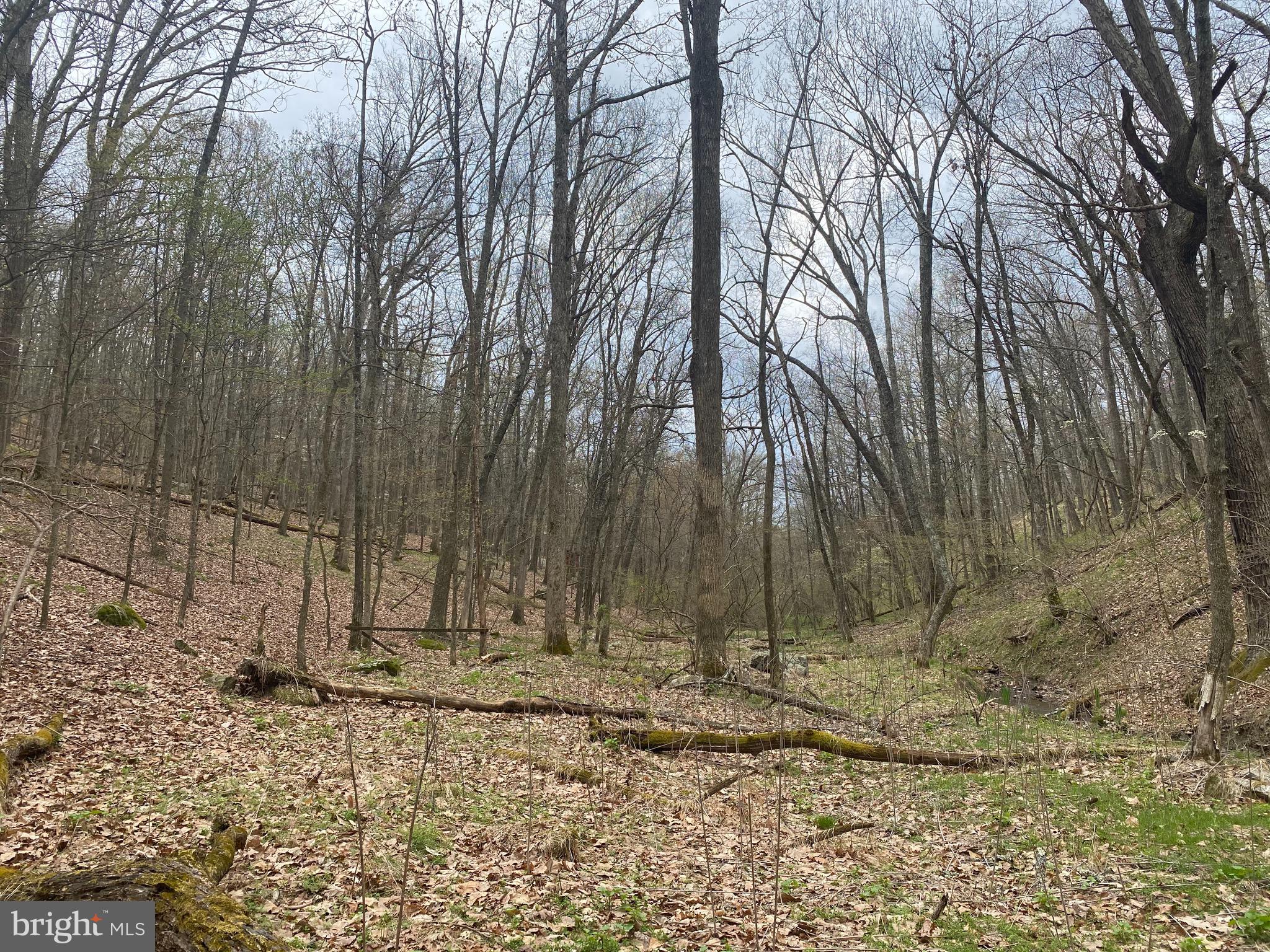 OLD FIELDS OWNER ASSOCIATION - Land