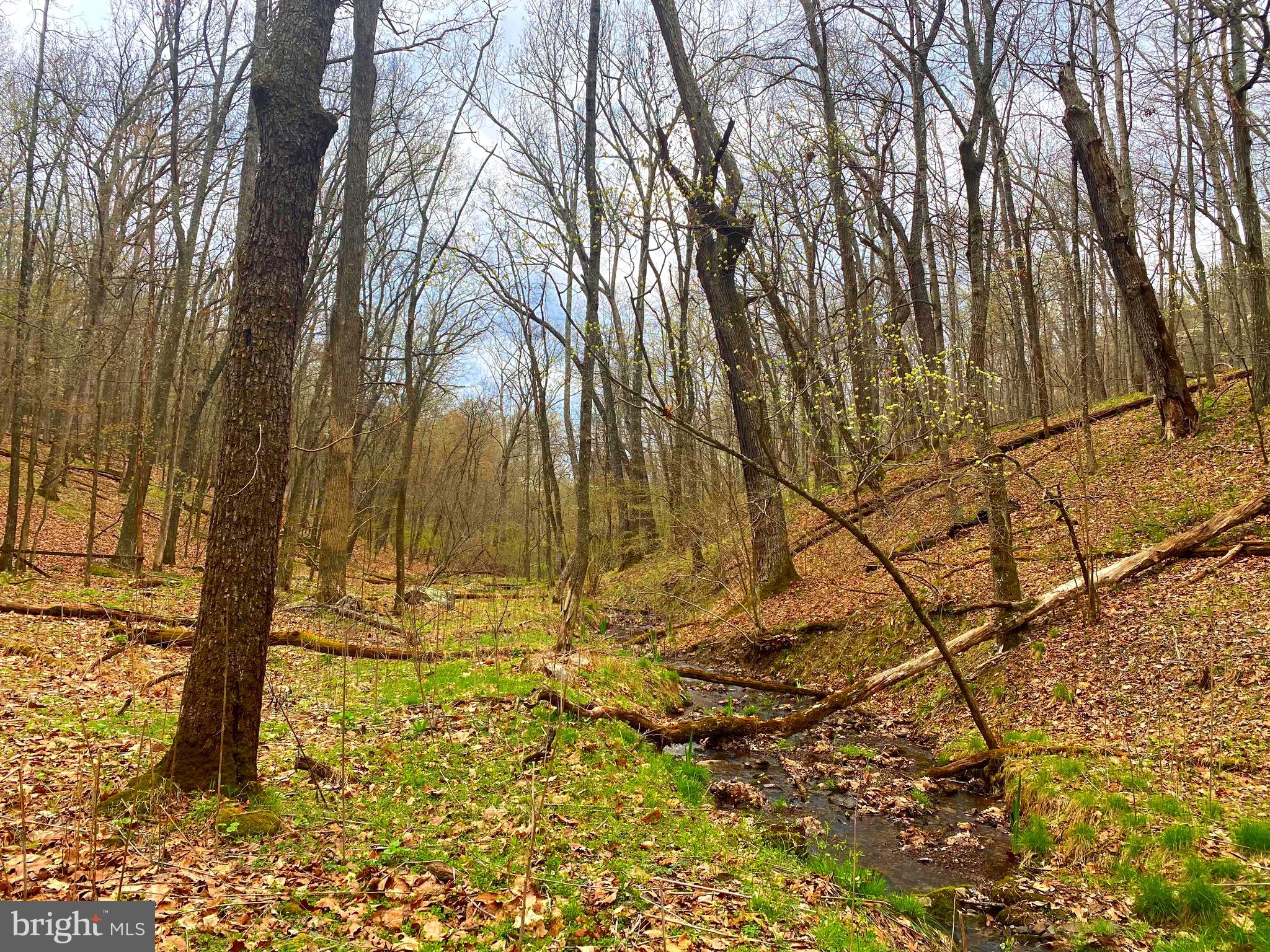 OLD FIELDS OWNER ASSOCIATION - Land