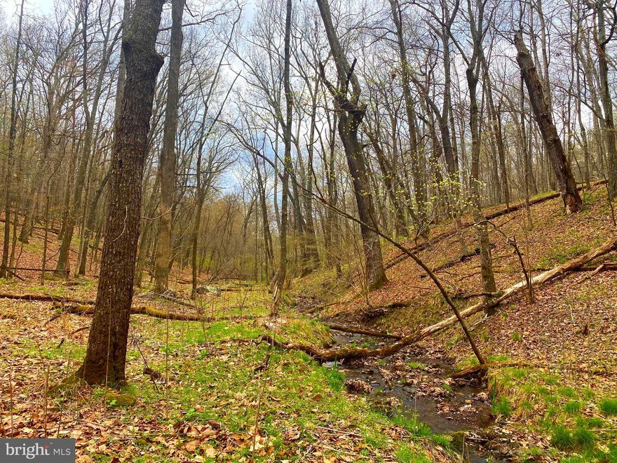 Looking for a private wooded retreat with a bubbling brook running through the middle of it? This is not only a quiet oasis on top of River Ridge, it's affordable! It  has electric available and though in a subdivision, very light restrictions. Great place to camp by the seasonable stream or build a weekend getaway or full time residence.  There are three community "parks" that you have access to as a land owner in Old Fields Owner Association. One with a nice pond at the bottom of the mountain where you can fish, paddle a kayak,  or enjoy a picnic in the shelter by the water. Another you can hike to the top of "High Knob" and enjoy the panoramic view from one of the  highest points in the county.  Lastly,  enjoy the "Favorite Spot Park"  to watch the sunset over The Alleghenies and view the expansive valley below from the ledge of the rock outcroppings. Plenty of wildlife traverse River Ridge  to access the river below,  including deer, turkey, bear, fox, and plenty of squirrel enjoy the giant chestnut oak habitat this beautiful 6.42 acre tract offers. A perfect camping spot or building lot!