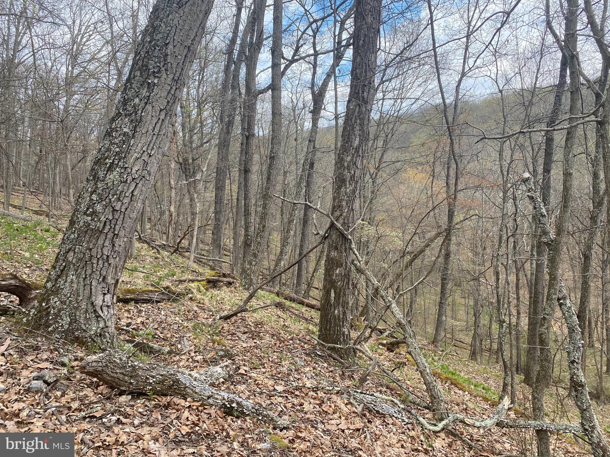 OLD FIELDS OWNER ASSOCIATION - Land