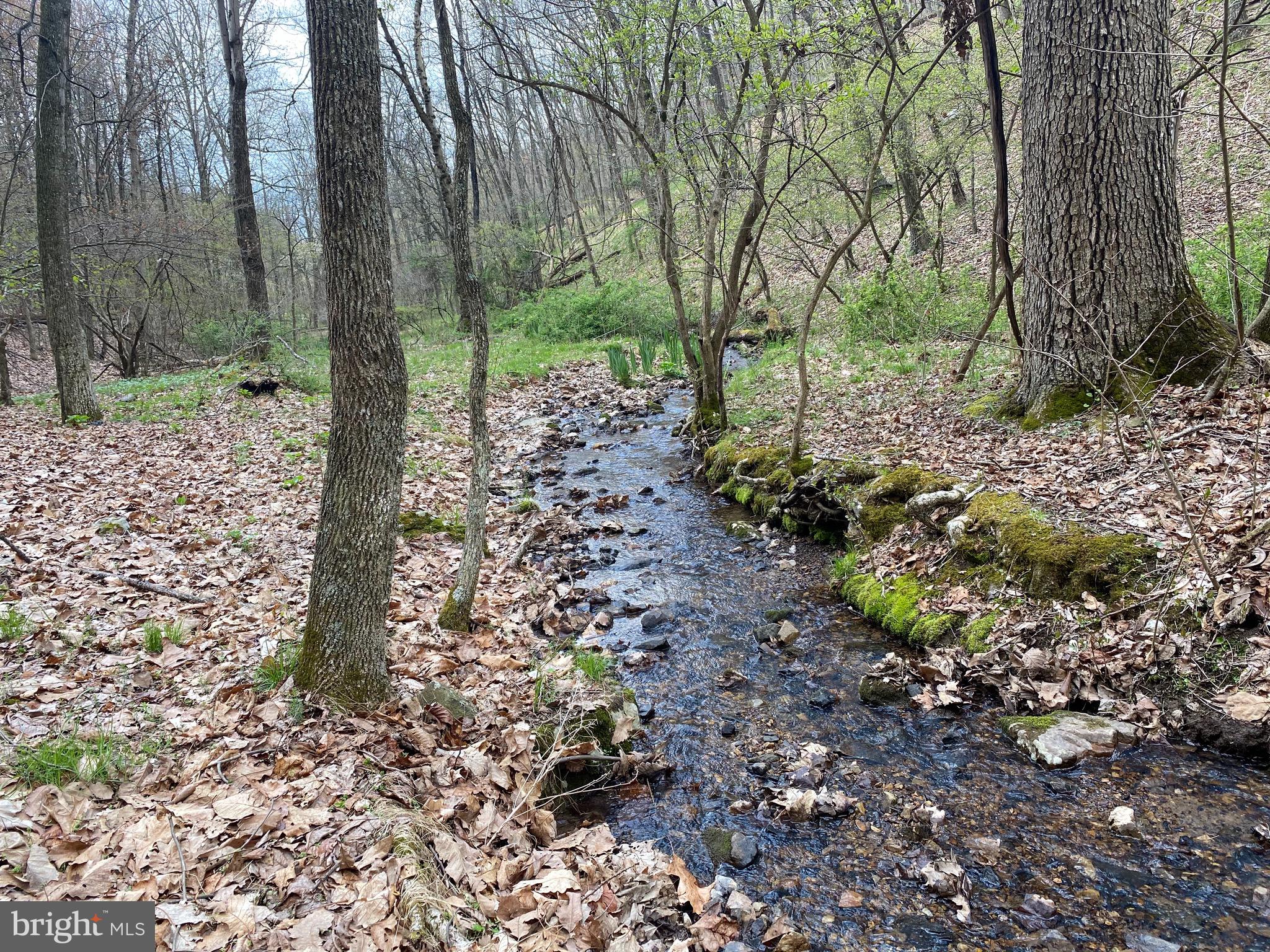 OLD FIELDS OWNER ASSOCIATION - Land