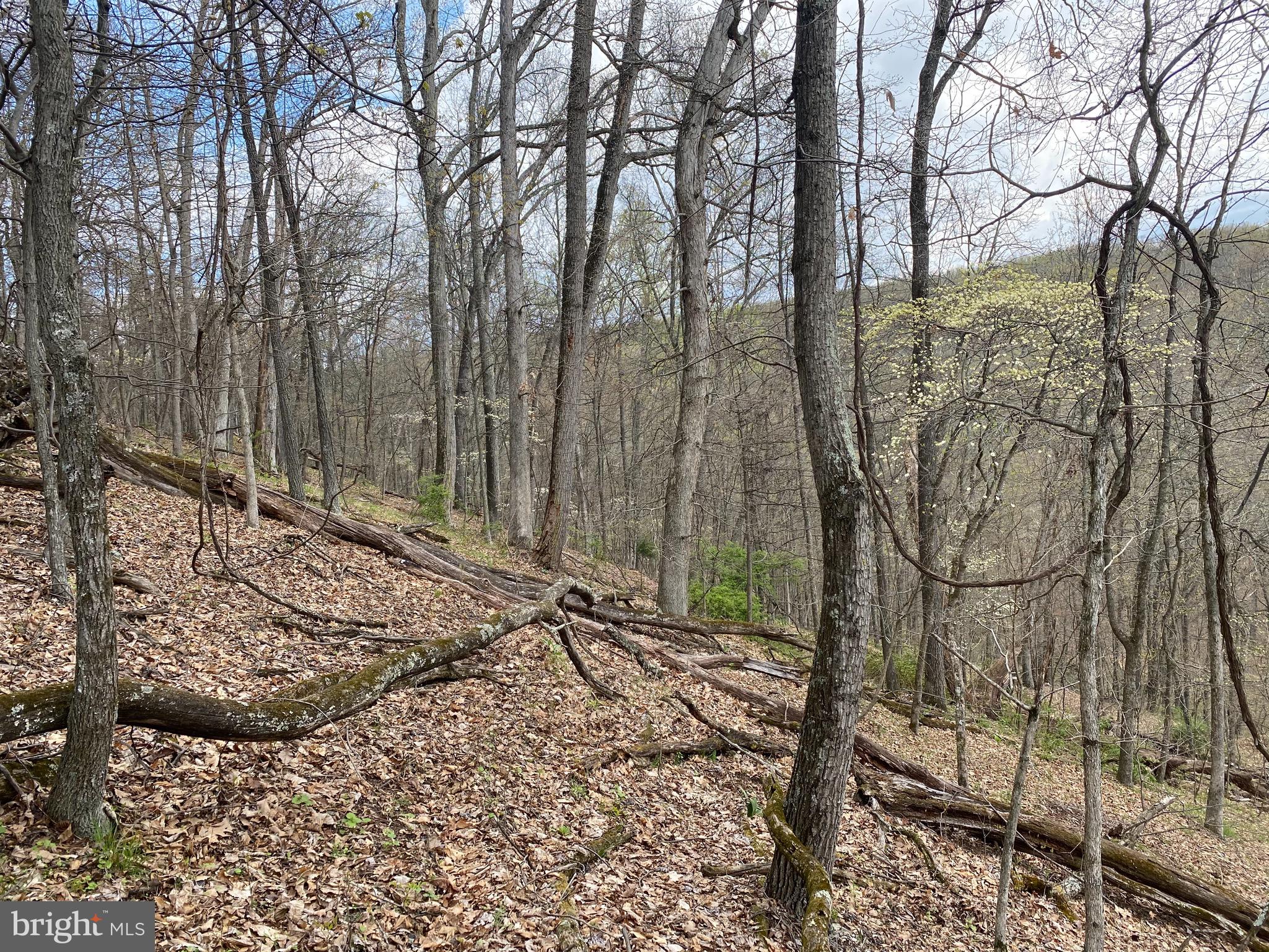 OLD FIELDS OWNER ASSOCIATION - Land