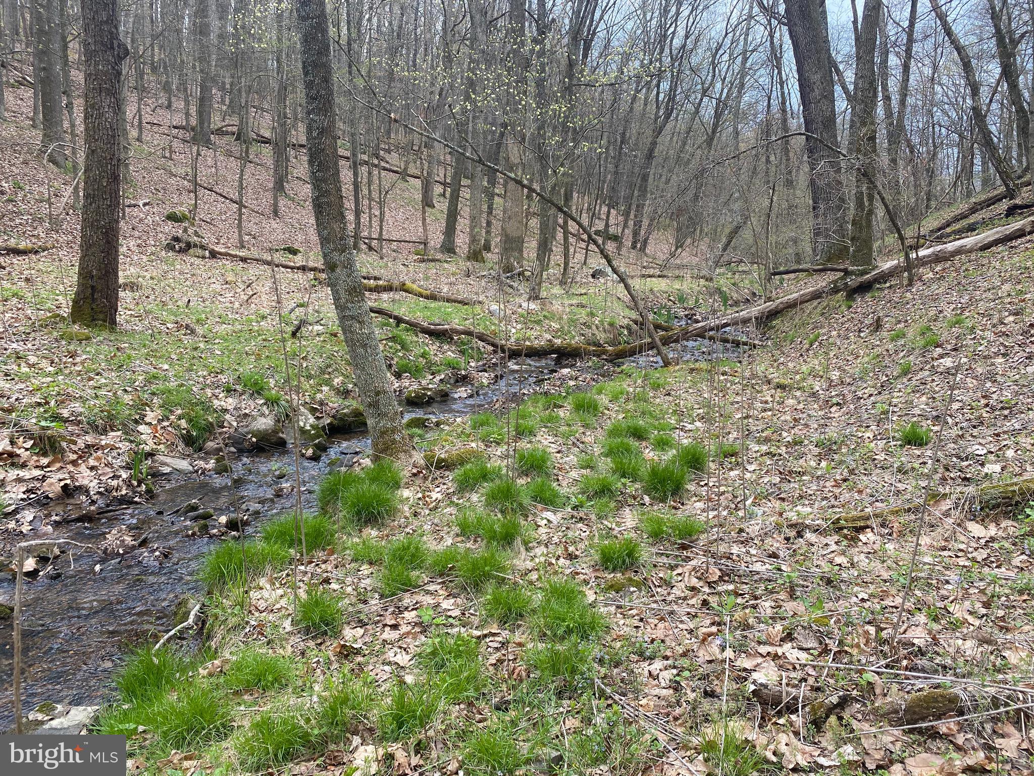 OLD FIELDS OWNER ASSOCIATION - Land