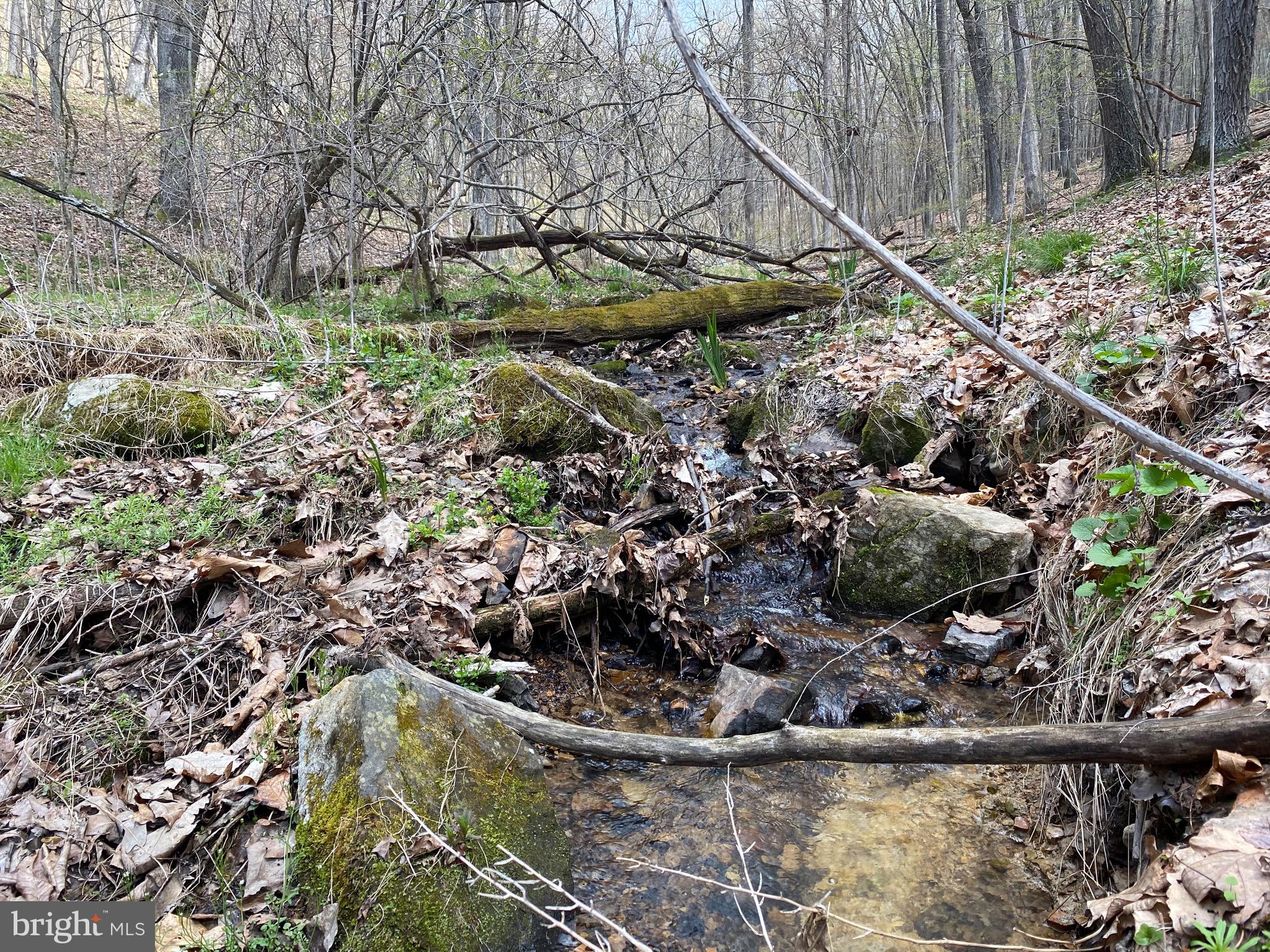 OLD FIELDS OWNER ASSOCIATION - Land