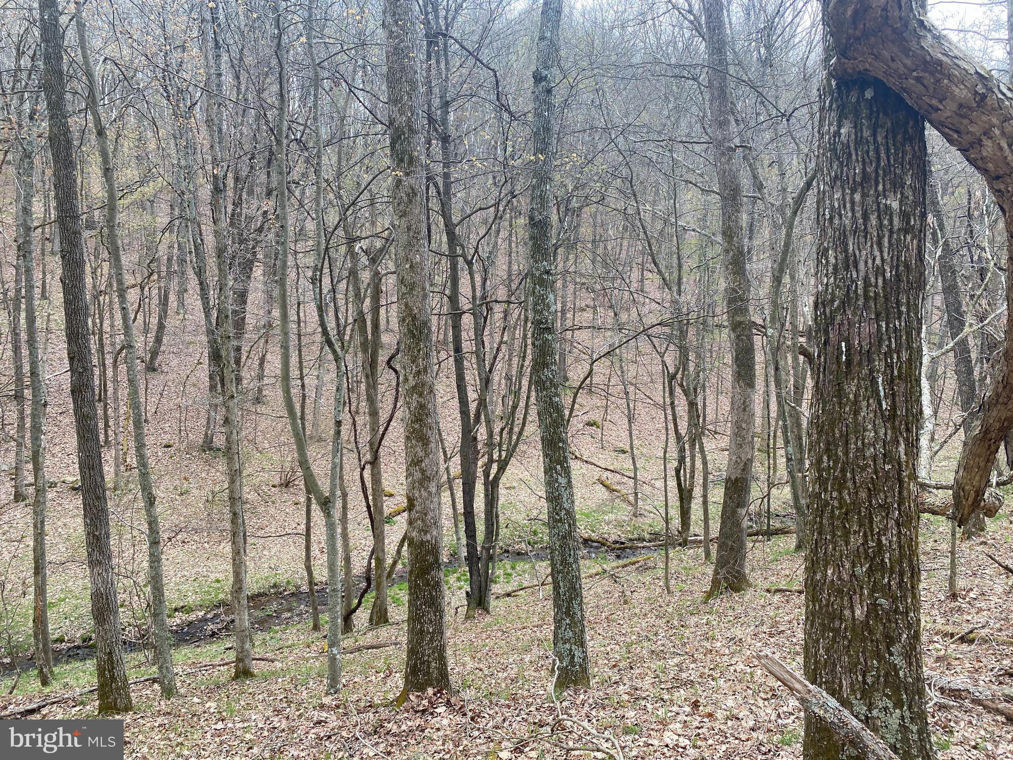 OLD FIELDS OWNER ASSOCIATION - Land