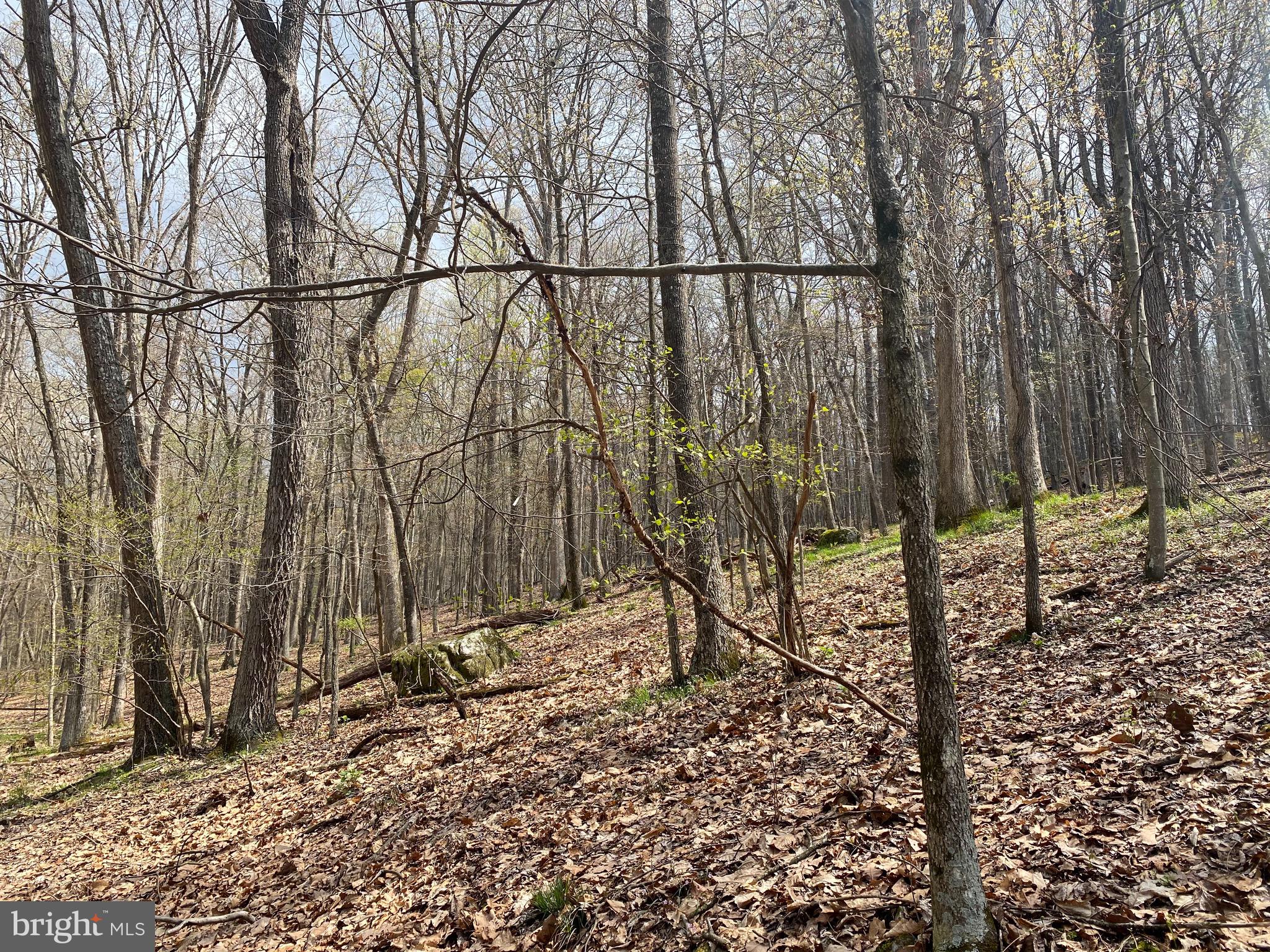 OLD FIELDS OWNER ASSOCIATION - Land