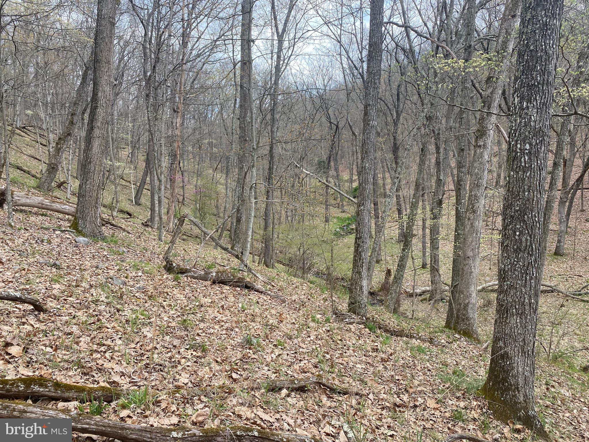 OLD FIELDS OWNER ASSOCIATION - Land