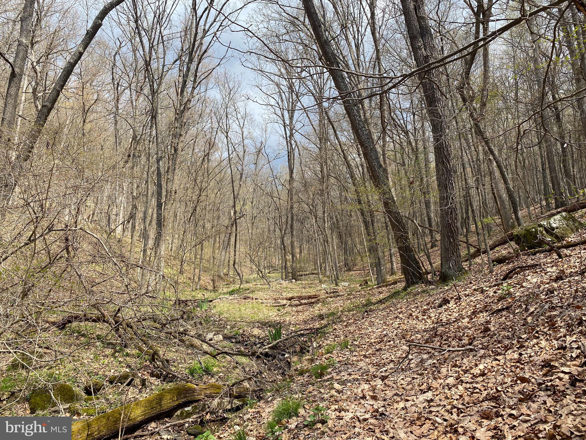 OLD FIELDS OWNER ASSOCIATION - Land