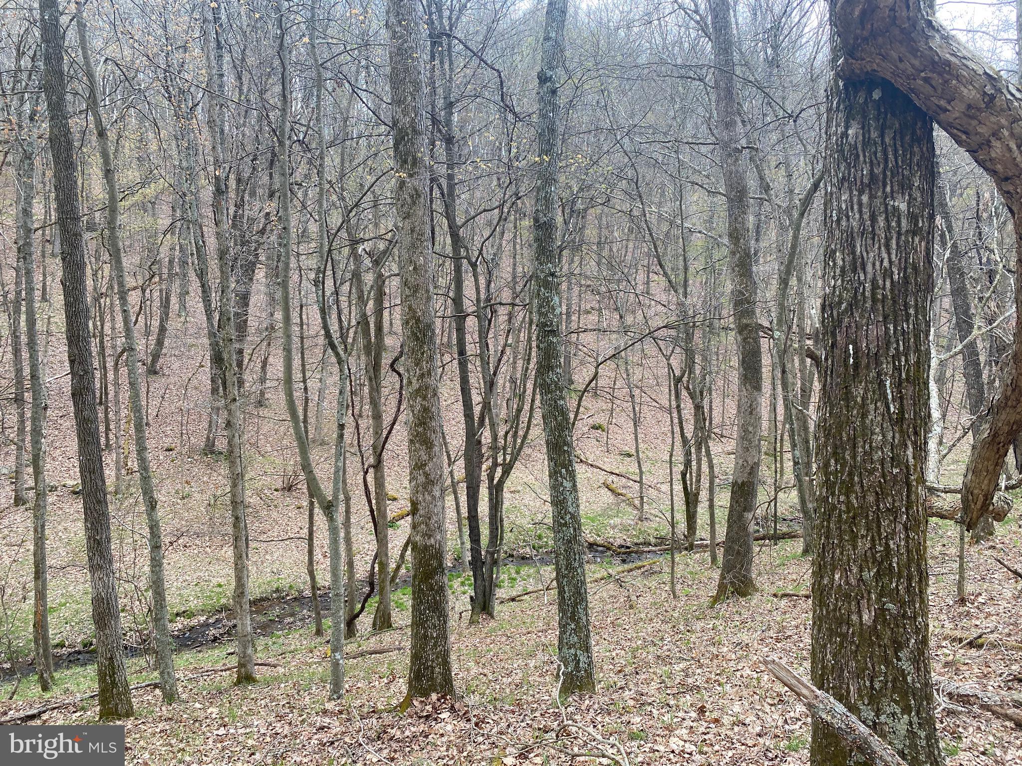 OLD FIELDS OWNER ASSOCIATION - Land