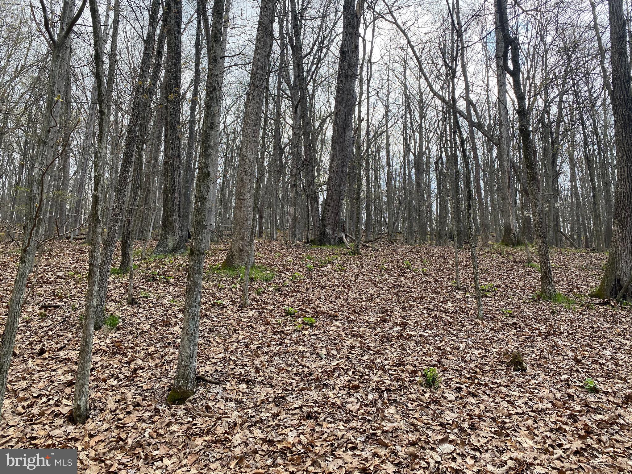 OLD FIELDS OWNER ASSOCIATION - Land