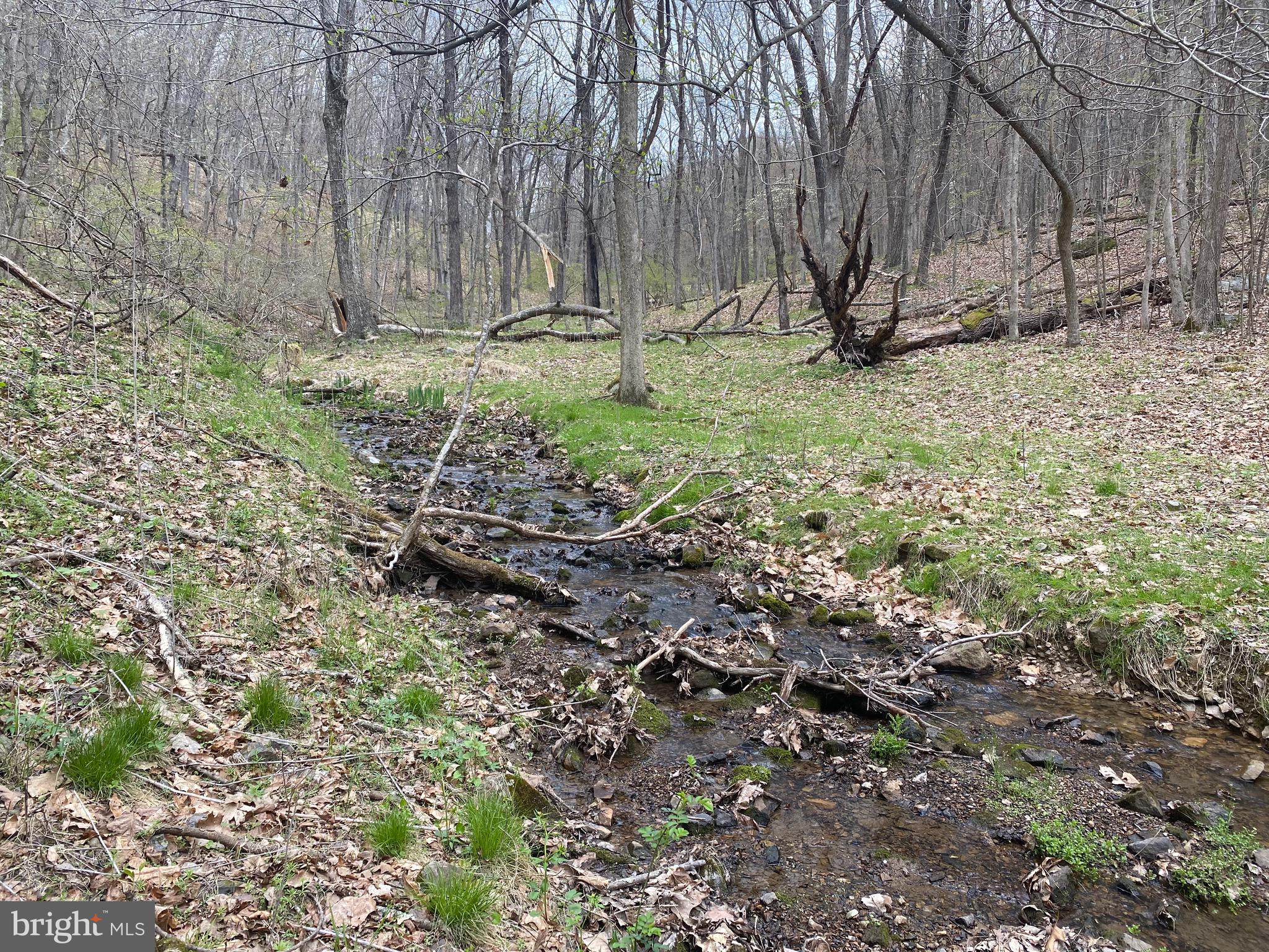 OLD FIELDS OWNER ASSOCIATION - Land