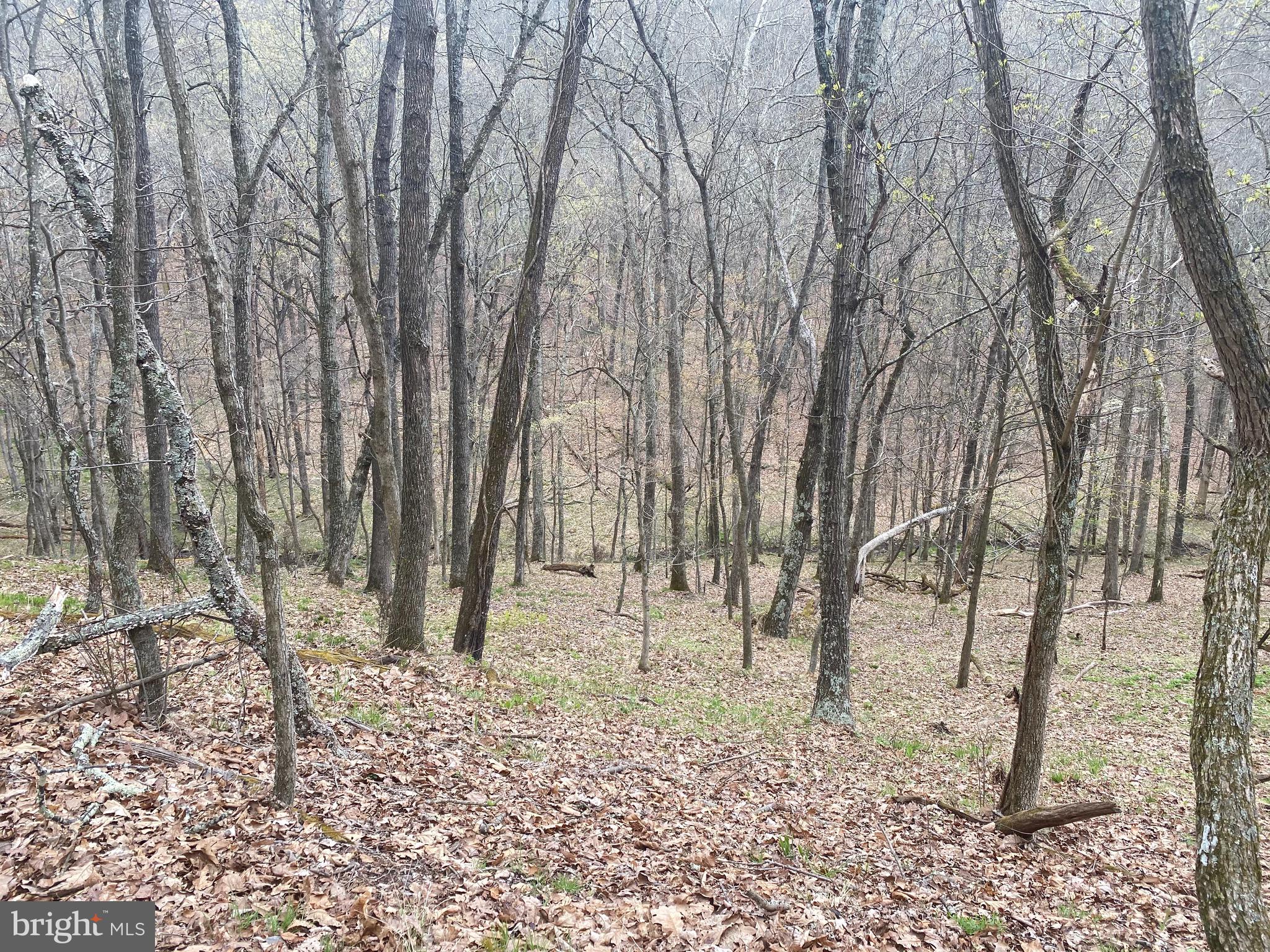 OLD FIELDS OWNER ASSOCIATION - Land