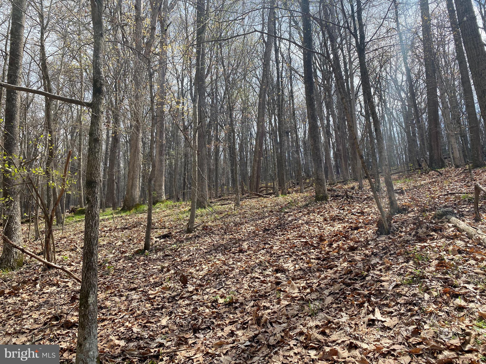 OLD FIELDS OWNER ASSOCIATION - Land