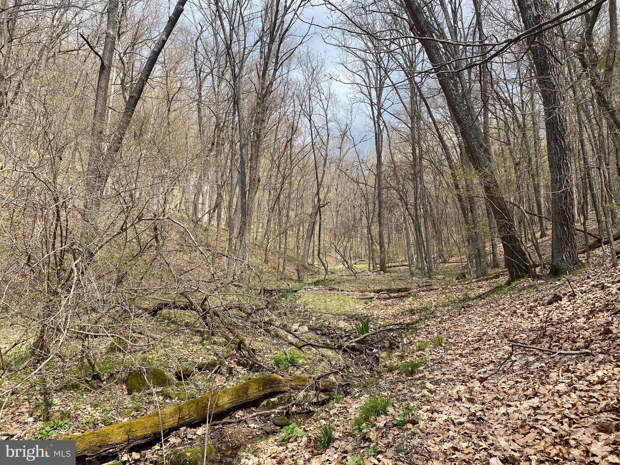 OLD FIELDS OWNER ASSOCIATION - Land