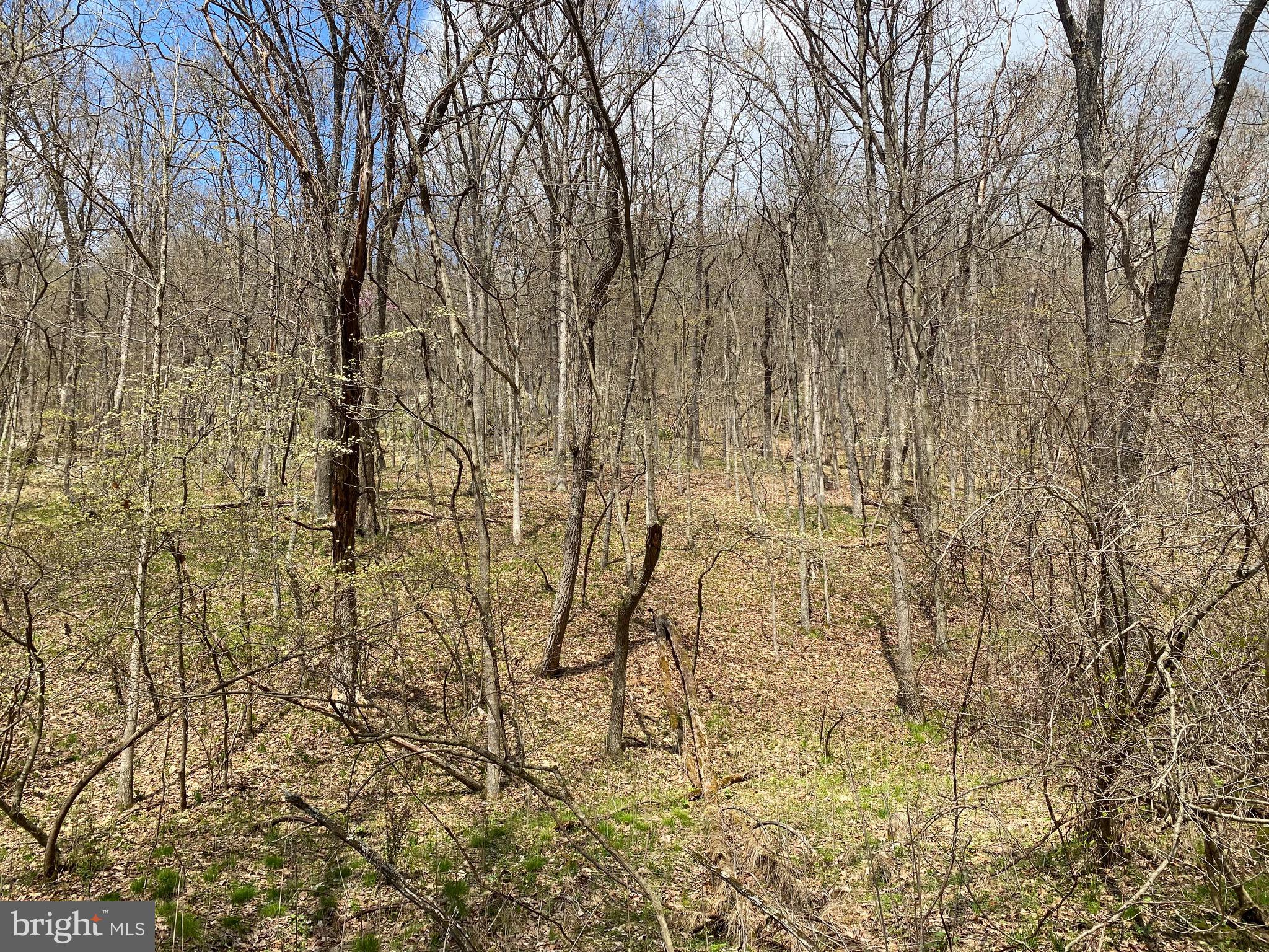 OLD FIELDS OWNER ASSOCIATION - Land