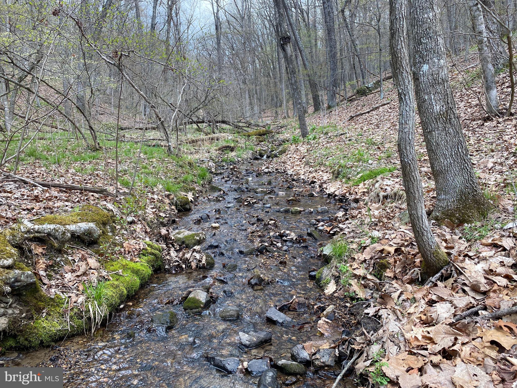 OLD FIELDS OWNER ASSOCIATION - Land