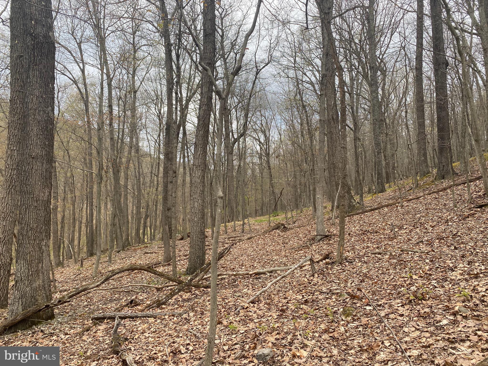 OLD FIELDS OWNER ASSOCIATION - Land