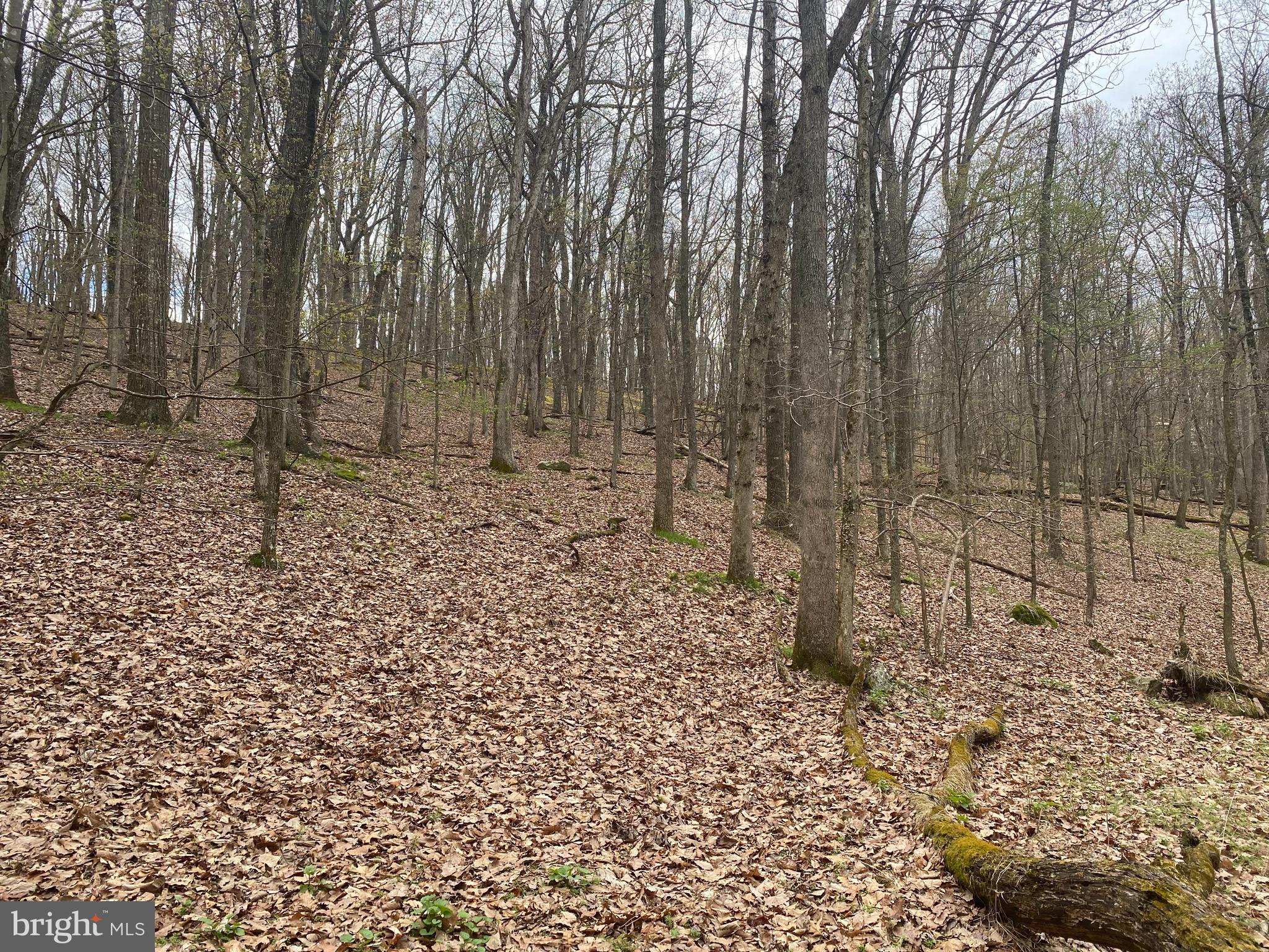 OLD FIELDS OWNER ASSOCIATION - Land