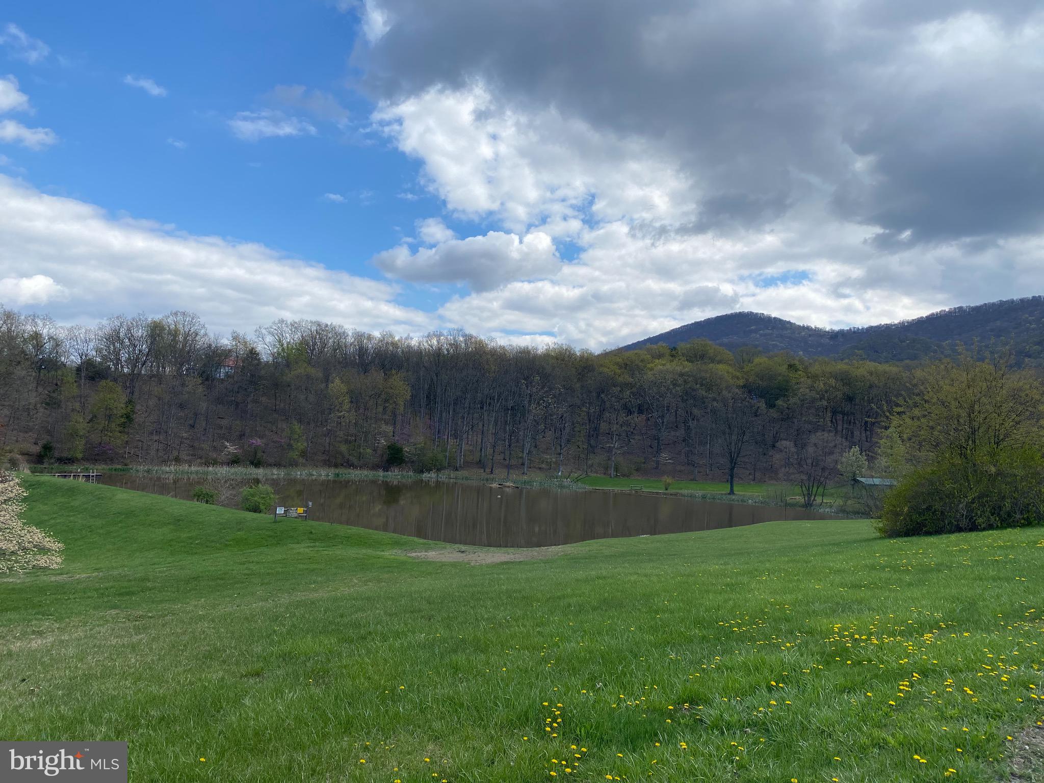 OLD FIELDS OWNER ASSOCIATION - Land