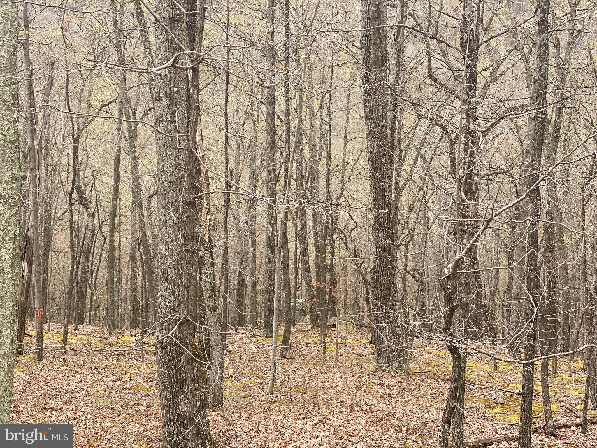 OLD FIELDS OWNER ASSOCIATION - Land