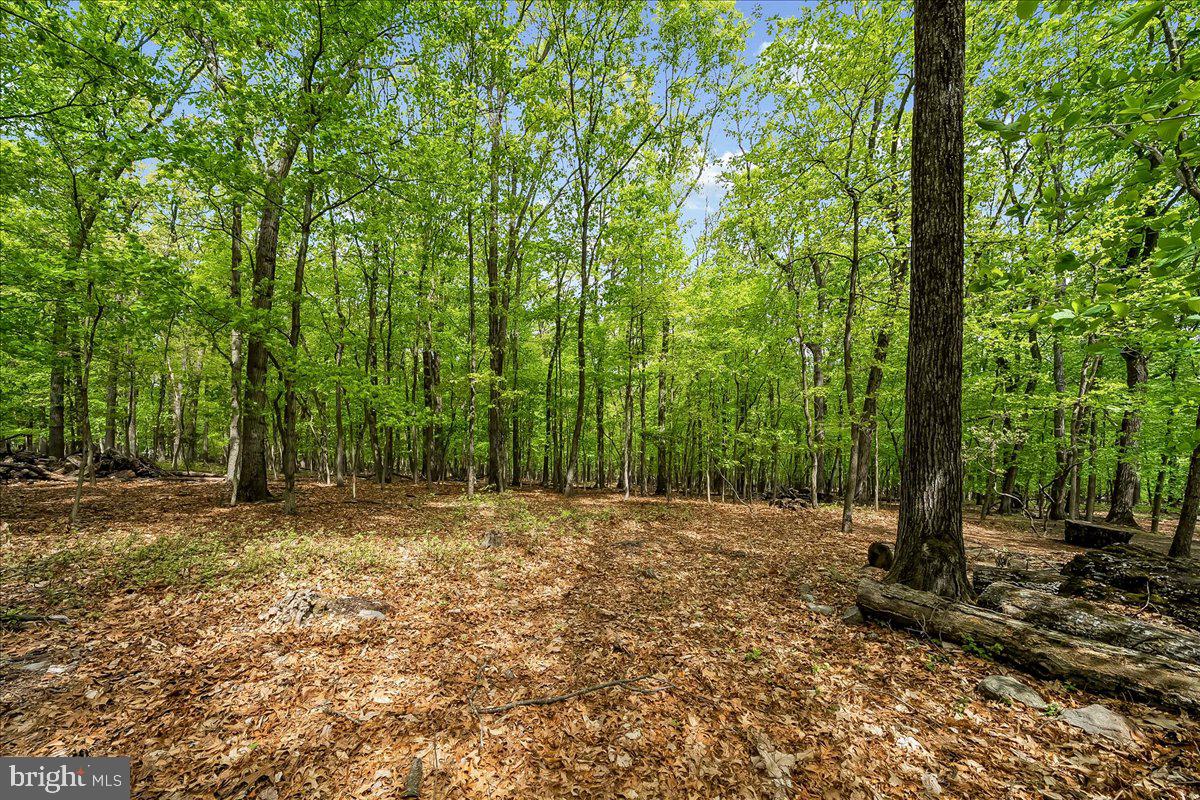 VALLEY FORGE MTN - Residential