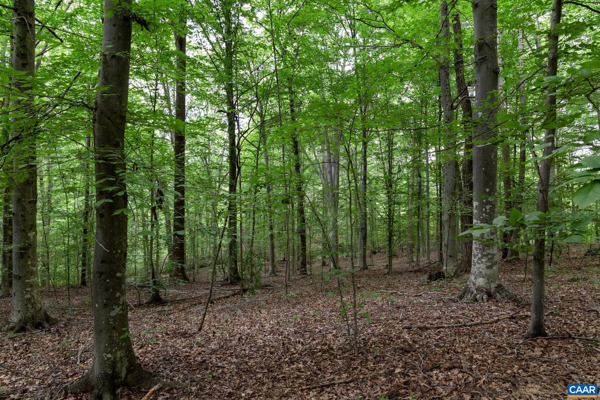 HANCOCK FARMS - Residential