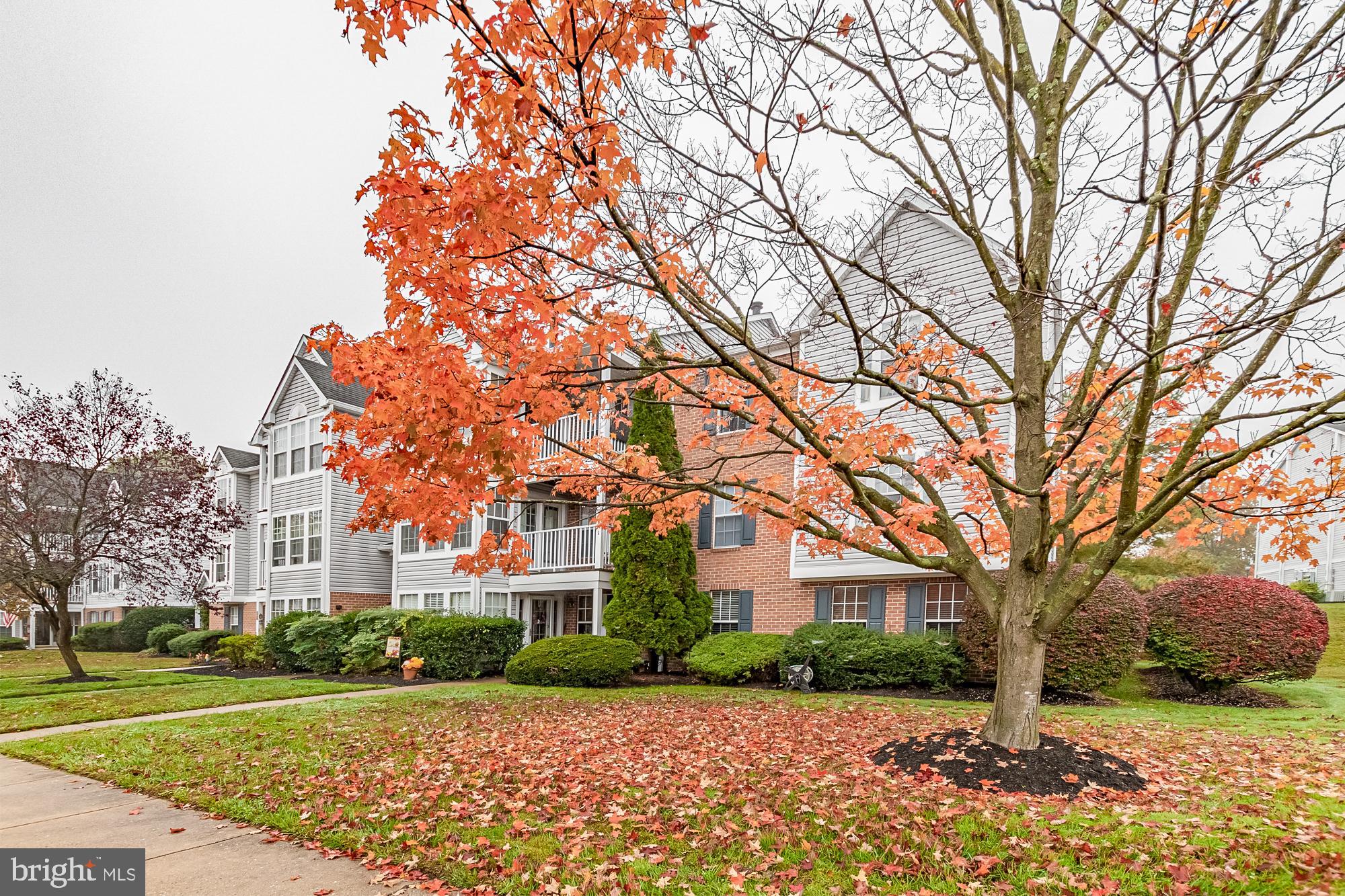 SOUTHFIELD - Residential