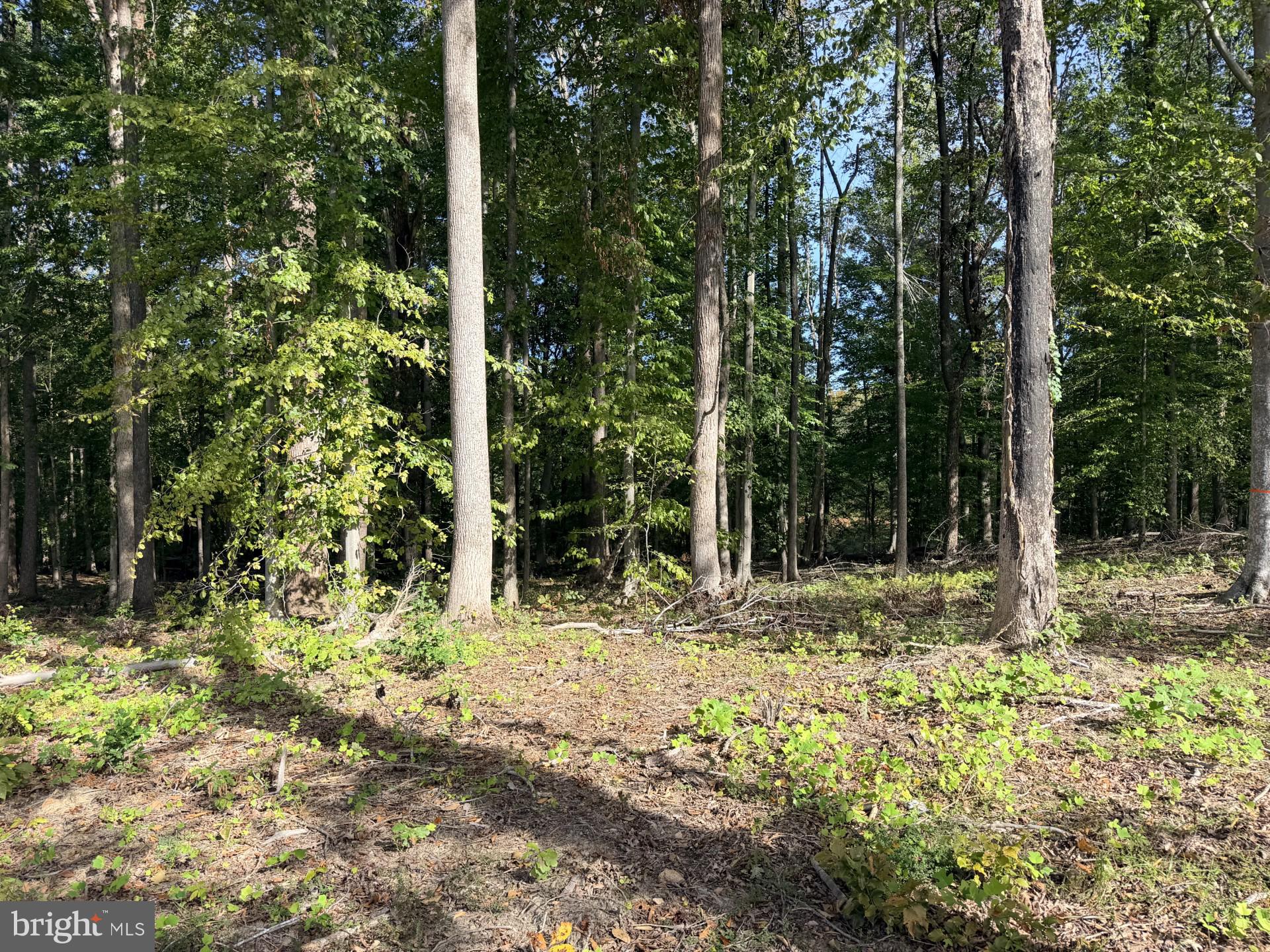 Lot 71 COMPASS COVE