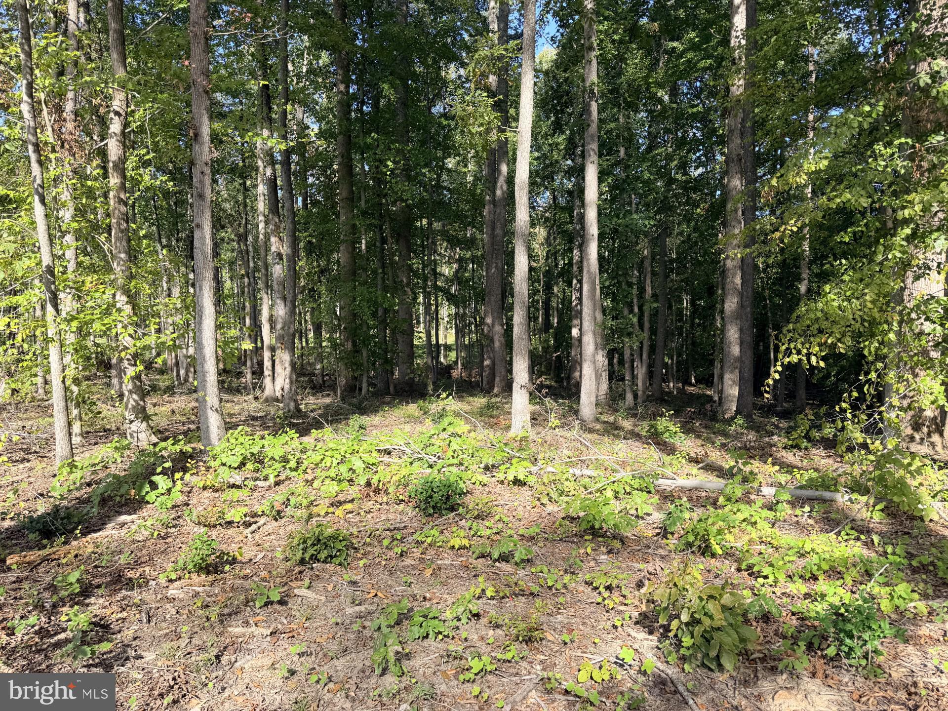 Lot 71 COMPASS COVE